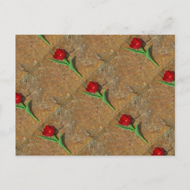 Röd och Gult Tulip Vykort (Framsida)