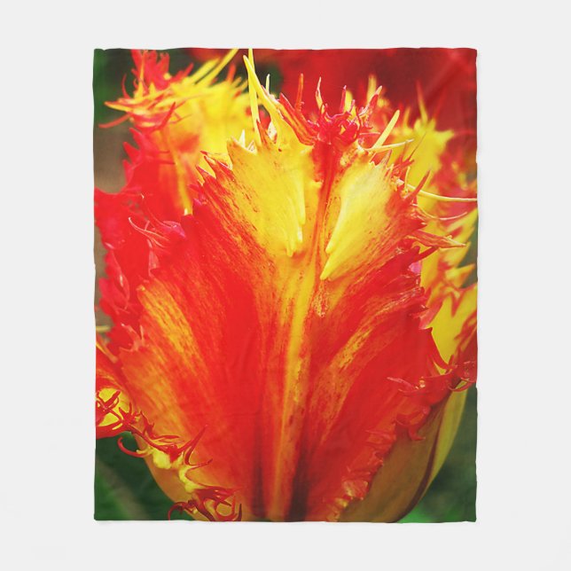 Röd- och Gult-tupplur Fleecefilt (Framsidan)