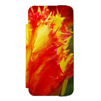 Röd- och Gult-tupplur