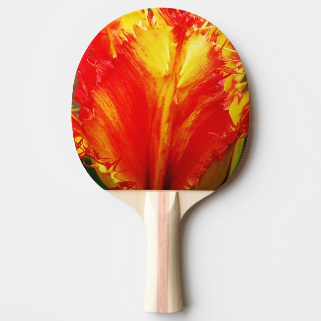 Röd- och Gult-tupplur Pingisracket (Framsidan)