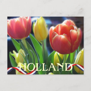 Röd- och Gult Vår Tulips Holland-vykort Vykort