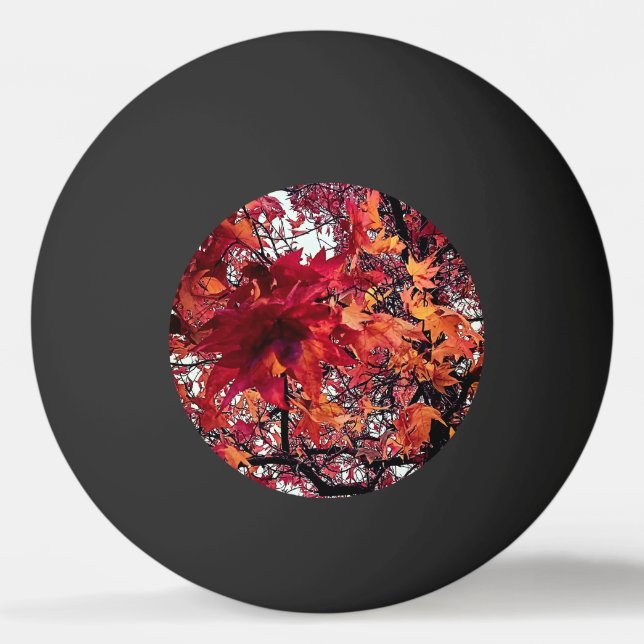 Röd och orange löv pingisboll (Framsidan)