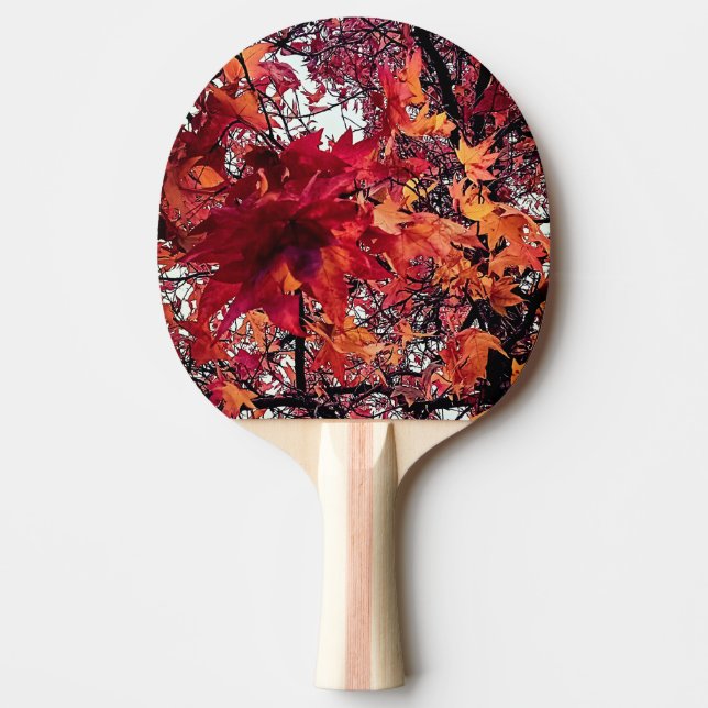 Röd och orange löv pingisracket (Framsidan)