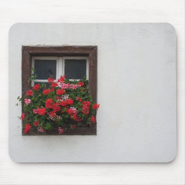 Röd och rosa pelargonium musmatta (Framsidan)