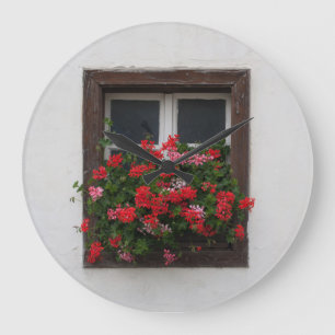 Röd och Rosa Pelargonium Stor Klocka