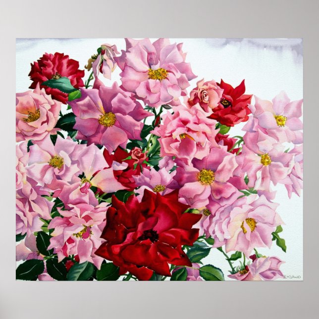 Röd och Rosa ros 2008 Poster (Framsidan)