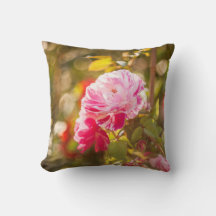 Röd och rosa ros