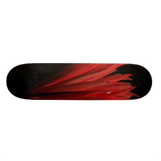 Röd och svart design mini skateboard bräda 18,7 cm