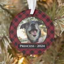 Röd och svart Tartan-rutig hundfoto jul