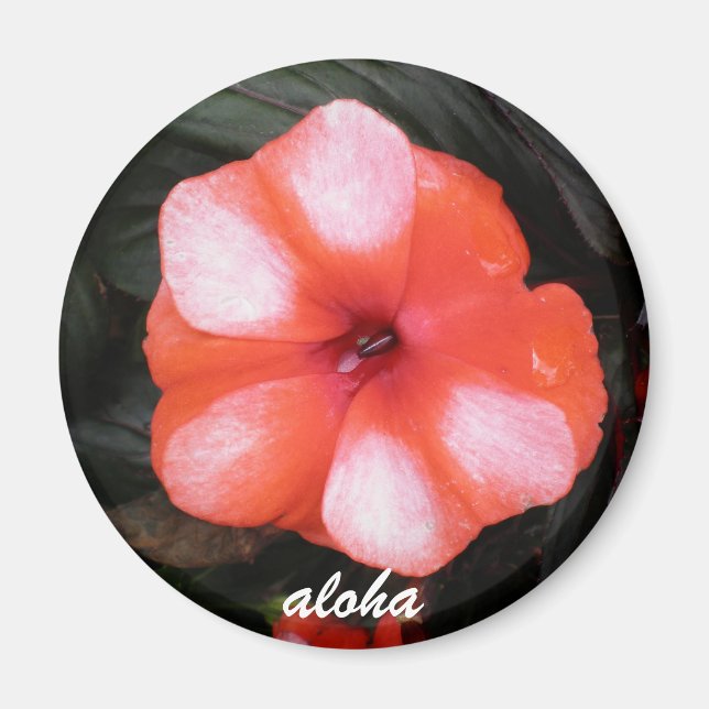 Röd och vit aloha magnet (Framsidan)