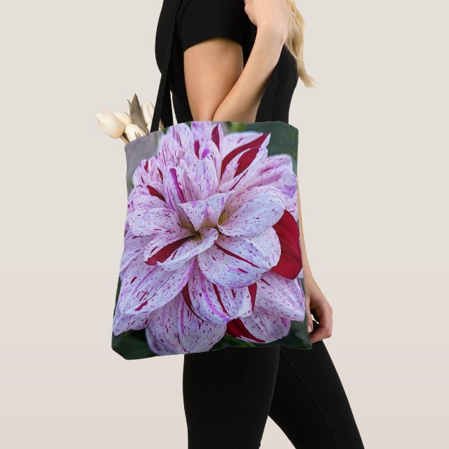 Röd och vit brokig Dahlia-blomma, blomster Tygkasse (Närbild)
