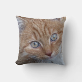 Röd och vit, långfärgad, Tabby katt Ansikte Kudde
