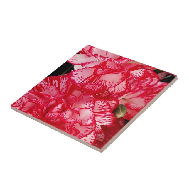 Röd och vit nejlikor-CERAMIC TILE Kakelplatta (Sidan)