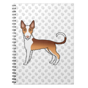 Röd och vit trådhårig Ibizan Hound hund & tassar Anteckningsbok