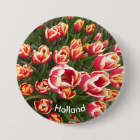 Röd och vit tulpanknapp Fält Holland