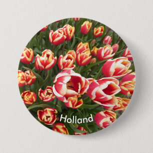 Röd och vit tulpanknapp Fält Holland Knapp
