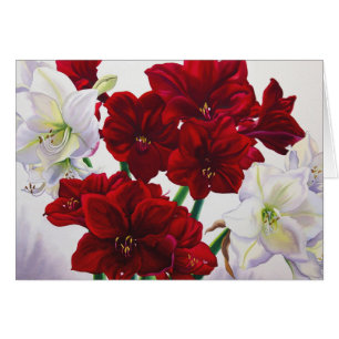 Röd och vitAmaryllis 2008 Hälsningskort