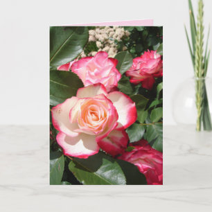 Röd- och vitfärgskort Ro Flower Blommigt Rosor Car Kort