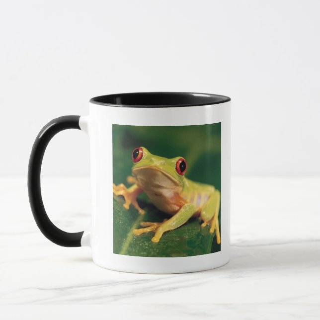 Röd ögaträdgroda mugg (Vänster)