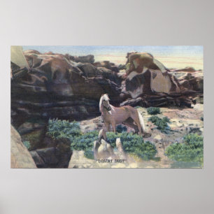 Röd öken, WY - fångad vildPalominohingst Poster