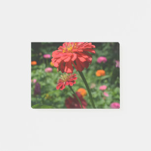 röd orange daisy blommigt, röd blomsterträdgård post-it block