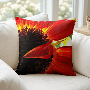 Röd Orange Gerbera Tusensköns Foto Modern Stilren Kudde