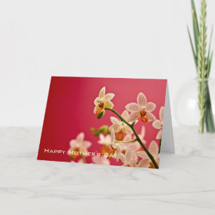 Röd Orchid •, Lyckligt mors dagkort Kort