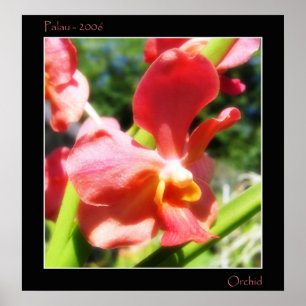 Röd Orchid Poster