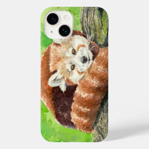 Röd panda