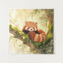 Röd Panda