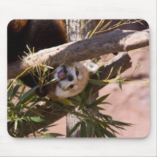 Röd Panda2 Musmatta