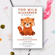 Röd Panda 1-års födelsedagsfest