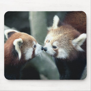 Röd Panda #1-Mousepad Musmatta
