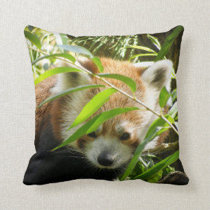 Röd Panda 415P2 Kudde