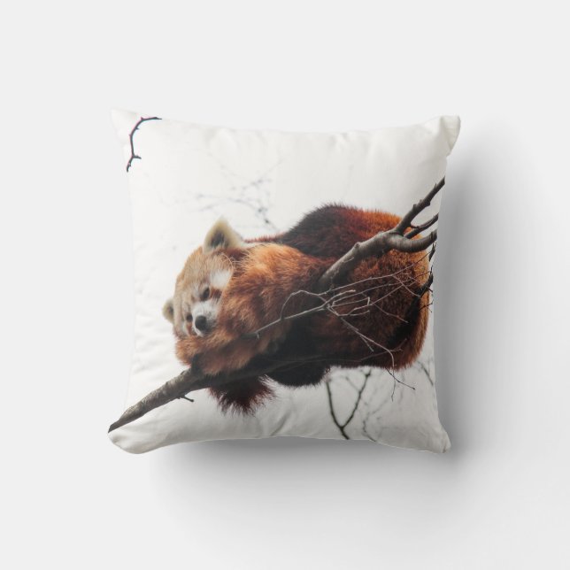 Röd Panda American Mojo Pillow Kudde (Framsida)