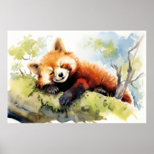 Röd panda-avslappning i Garden Animal Roligt Lyckl Poster