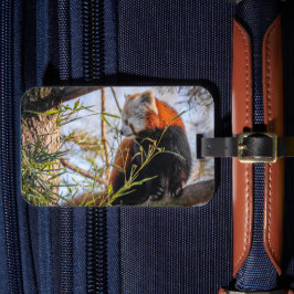 Röd panda bagagebricka