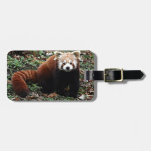 Röd Panda Bagagebricka
