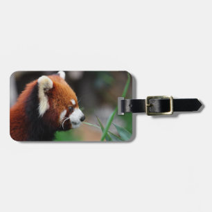 Röd panda bagagebricka