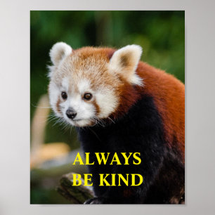 Röd Panda Be om inspiration Citate-Anpassningsbar Poster