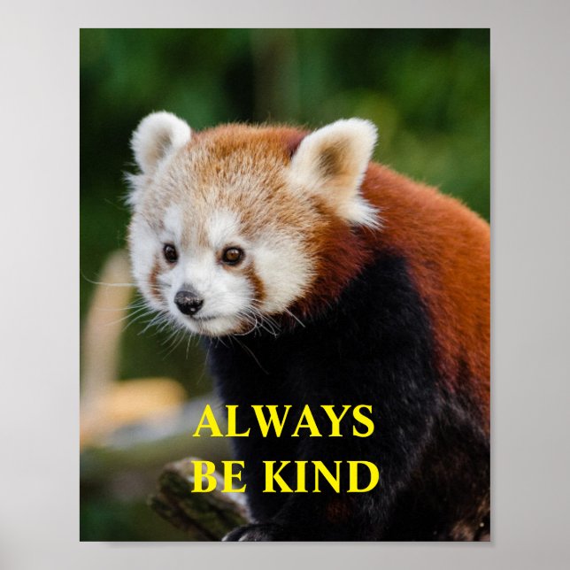 Röd Panda Be om inspiration Citate-Anpassningsbar Poster (Framsidan)