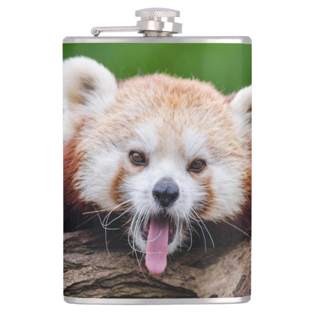 Röd Panda Björn Fickplunta (Framsidan)