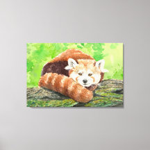 Röd panda