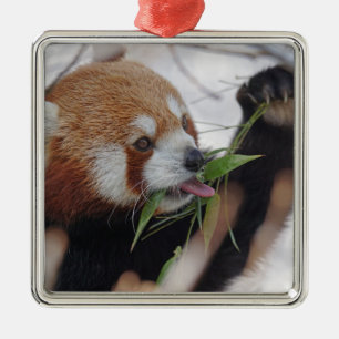 röd panda djurtryck söt julgransprydnad metall