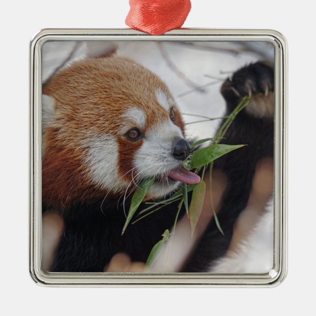 röd panda djurtryck söt julgransprydnad metall (Framsidan)