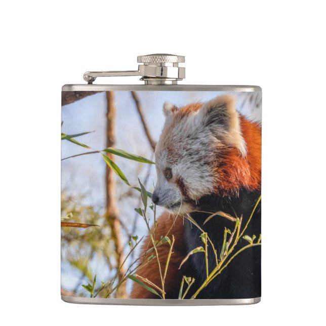 Röd panda fickplunta (Framsidan)