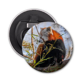 Röd panda flasköppnare