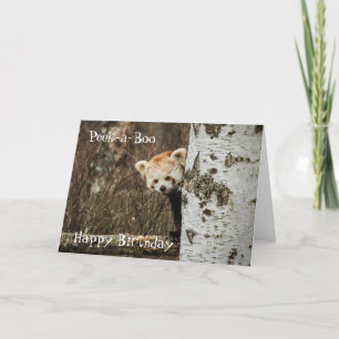Röd panda Grattis på födelsedagen Kort