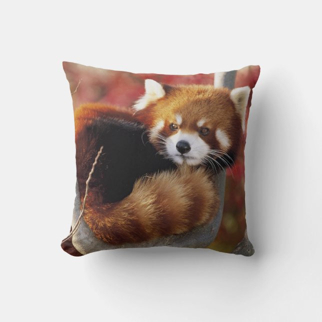 Röd Panda i en träddekorativ kudde (Framsida)