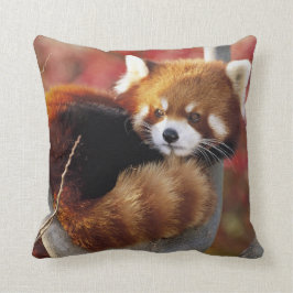 Röd Panda i en träddekorativ kudde